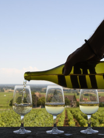 Bourgogne alternatieven