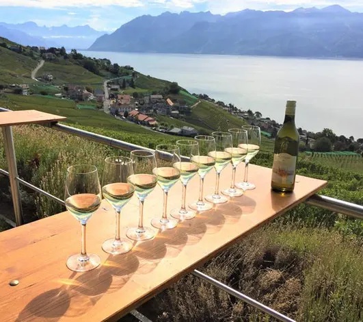 swiss tasting