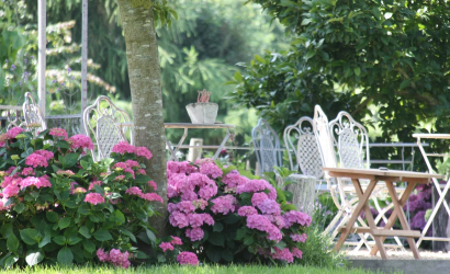 B&B Amberhoeve
