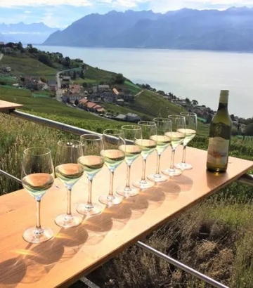 swiss tasting